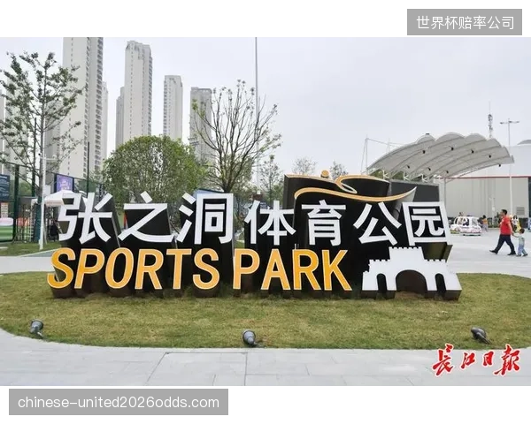 湖北省已实现全民健身场地设施的乡镇全覆盖，有效延伸了基层体育服务网络的末梢